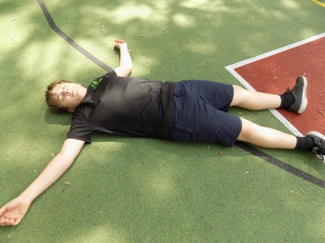 bernartickysurvival3 54